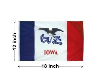 12"x18" Iowa Nylon Outdoor Flag